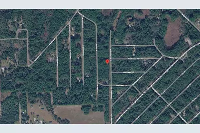 141 E Boundary Drive, Georgetown, FL 32139 - Photo 3