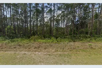 141 E Boundary Drive, Georgetown, FL 32139 - Photo 1