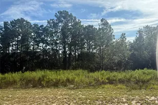 Tbd 135th St Rd, Ocala, FL 34473 - Photo 1