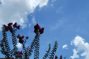 1650 N 42ND Cir, Vero Beach, FL 32967 - Photo 49