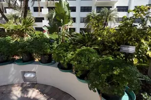 5100 N Ocean Blvd, Lauderdale by the Sea, FL 33308 - Photo 33