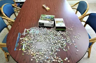 2825 E Crosley Dr Dr E, West Palm Beach, FL 33415 - Photo 39