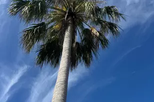 3206 S Lakeview Cir, Hutchinson Island, FL 34949 - Photo 69