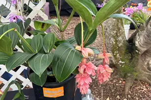 6220 Kelty Way, Lake Worth, FL 33467 - Photo 75