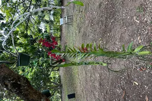 6220 Kelty Way, Lake Worth, FL 33467 - Photo 77