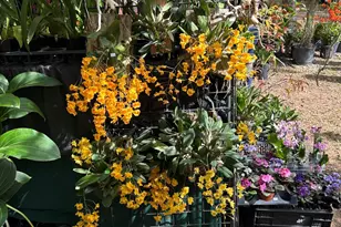 6220 Kelty Way, Lake Worth, FL 33467 - Photo 71