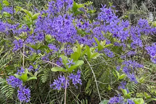 6220 Kelty Way, Lake Worth, FL 33467 - Photo 83