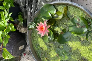 6220 Kelty Way, Lake Worth, FL 33467 - Photo 67