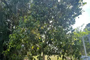 1150 SW Jumper St, Port Saint Lucie, FL 34983 - Photo 31