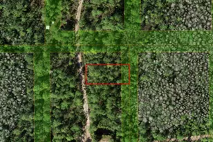 0 Holopaw Groves Rd, Saint Cloud, FL 34772 - Photo 1