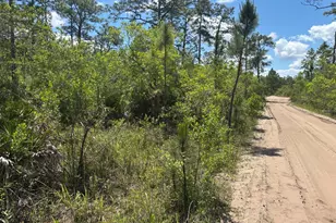 0 Holopaw Groves Rd, Saint Cloud, FL 34772 - Photo 1