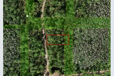0 Holopaw Groves Road, Saint Cloud, FL 34772 - Photo 3