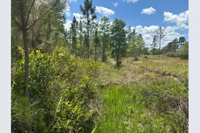 0 Holopaw Groves Road, Saint Cloud, FL 34772 - Photo 1