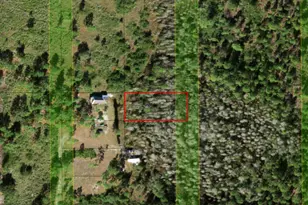 0 Holopaw Groves Rd, Saint Cloud, FL 34772 - Photo 1