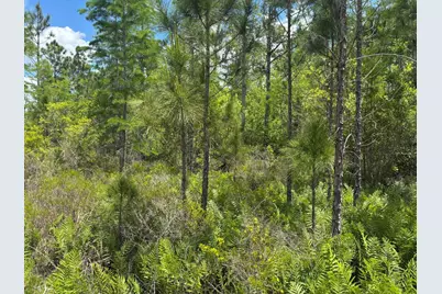 0 Holopaw Groves Road, Saint Cloud, FL 34772 - Photo 3