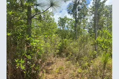 0 Holopaw Groves Road, Saint Cloud, FL 34772 - Photo 1