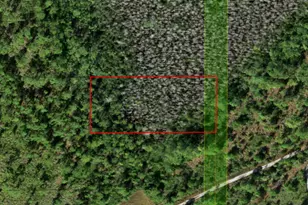 0 Holopaw Groves Rd, Saint Cloud, FL 34772 - Photo 1