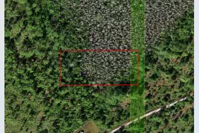 0 Holopaw Groves Road, Saint Cloud, FL 34772 - Photo 3