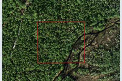 0 Holopaw Groves Road, Saint Cloud, FL 34772 - Photo 1