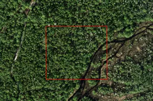 0 Holopaw Groves Rd, Saint Cloud, FL 34772 - Photo 1