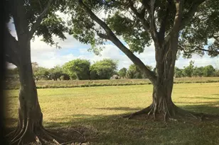 7290 NW 1st St, Margate, FL 33063 - Photo 27