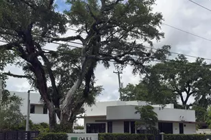 4189 N Oak Pl, Dania Beach, FL 33314 - Photo 19