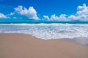 962 Montrose Ave, Sebastian, FL 32958 - Photo 33