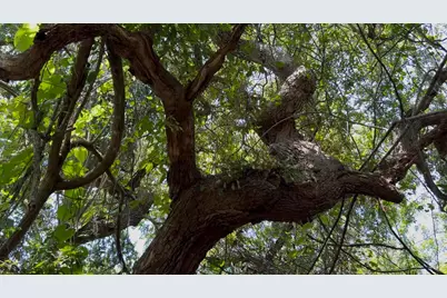 1654 N Central Avenue, Sebastian, FL 32958 - Photo 9