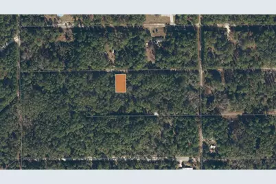 119 Gardenia Avenue, Georgetown, FL 32139 - Photo 7