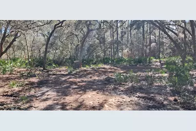 119 Gardenia Avenue, Georgetown, FL 32139 - Photo 1