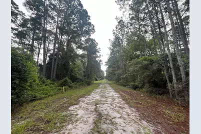 119 Gardenia Avenue, Georgetown, FL 32139 - Photo 5