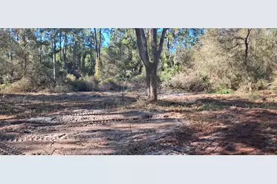 120 Gardenia Avenue, Georgetown, FL 32139 - Photo 3