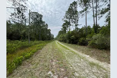 122 Glenside Street, Georgetown, FL 32139 - Photo 9