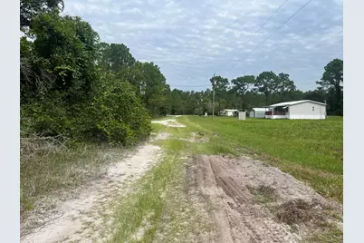 122 Glenside Street, Georgetown, FL 32139 - Photo 5