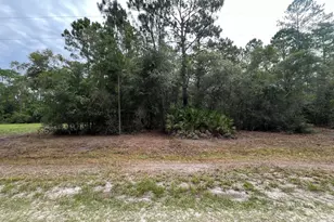 124 Glenside St, Georgetown, FL 32139 - Photo 1