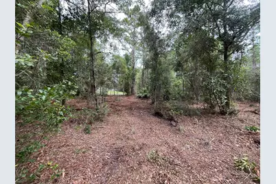 124 Glenside Street, Georgetown, FL 32139 - Photo 7
