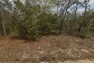 Lot 28 Janet Ave, Interlachen, FL 32148 - Photo 1