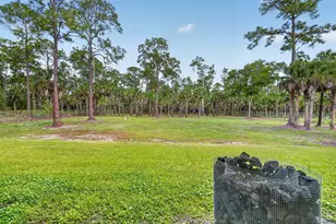 3263 SE 40th Ave Ave SE, Naples, FL 34117 - Photo 55