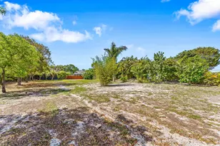 4646 Calamondin Blvd, Loxahatchee, FL 33470 - Photo 41
