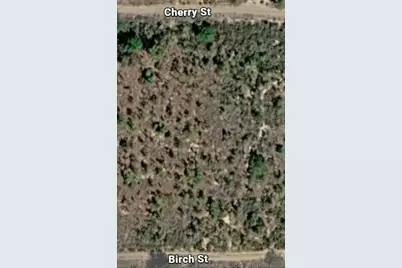 000 Unassigned Location, Interlachen, FL 32148 - Photo 1