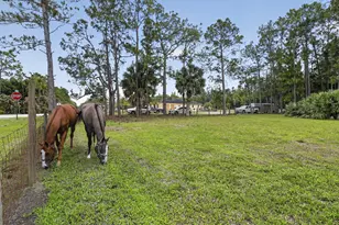 6045 Hall Blvd, The Acreage, FL 33470 - Photo 71