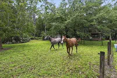 6045 Hall Boulevard, The Acreage, FL 33470 - Photo 67