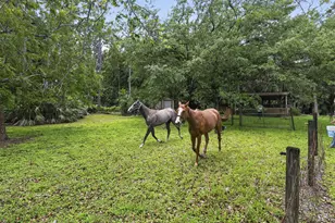 6045 Hall Blvd, The Acreage, FL 33470 - Photo 67