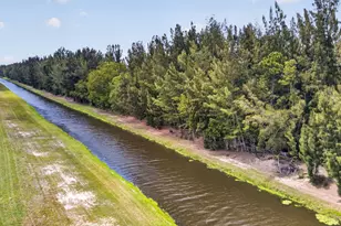 6045 Hall Blvd, The Acreage, FL 33470 - Photo 95