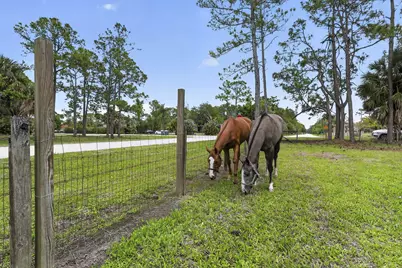 6045 Hall Boulevard, The Acreage, FL 33470 - Photo 71