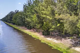 6045 Hall Blvd, The Acreage, FL 33470 - Photo 99