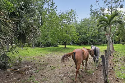 6045 Hall Boulevard, The Acreage, FL 33470 - Photo 67