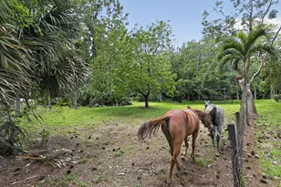6045 Hall Blvd, The Acreage, FL 33470 - Photo 67