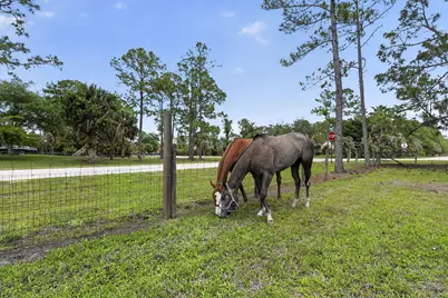 6045 Hall Boulevard, The Acreage, FL 33470 - Photo 75