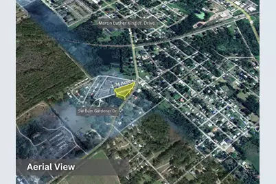 Lot 7 SW Bum Gardener Drive, Madison, FL 32340 - Photo 19